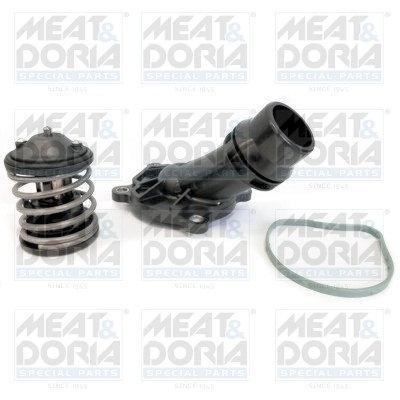 Thermostat, coolant
